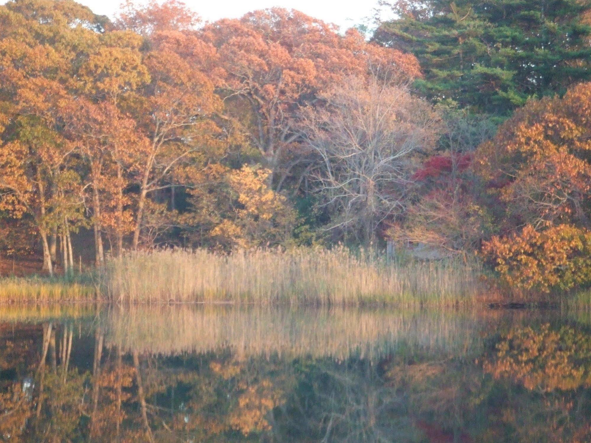 切斯克里克住宿加早餐旅馆 Shelter Island Heights 外观 照片