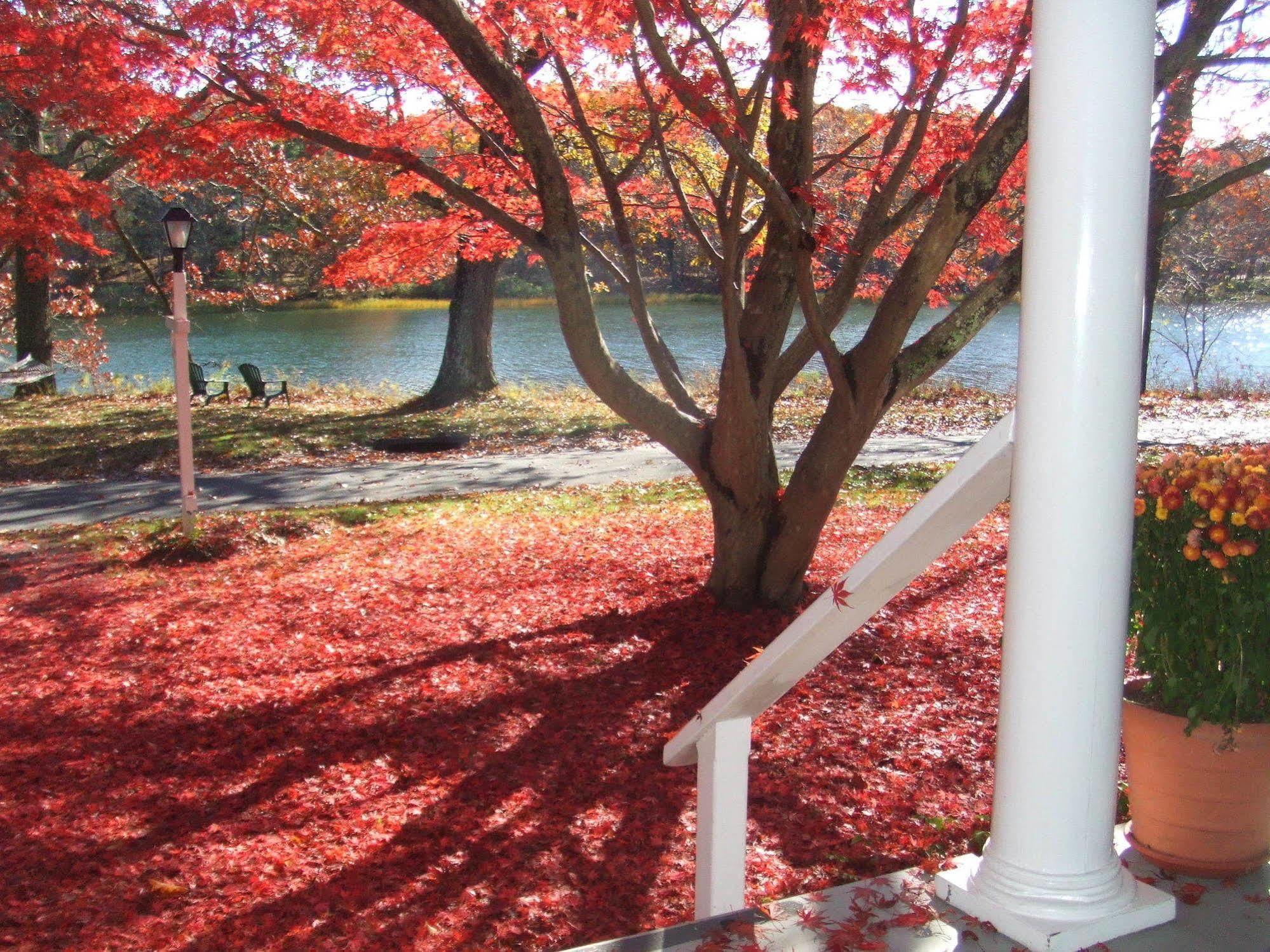 切斯克里克住宿加早餐旅馆 Shelter Island Heights 外观 照片